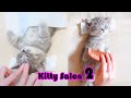 NEW! 😍Kitty Salon 2 - Super cute kitten baby cat having SPA treatment full service