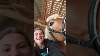 #cavaliere #amour #boyfriend #love #cheval