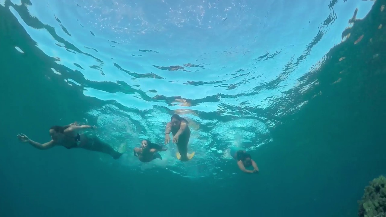 Maui Mermaid Swimming