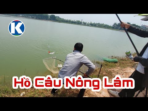 Câu Lục | Câu Khai Trương Hồ Câu Nông Lâm - Bắc Giang