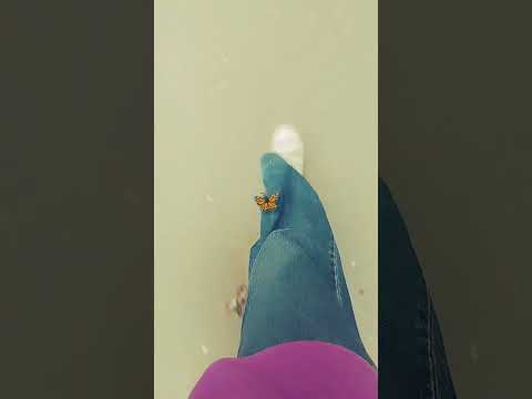 صديقي وخلي وبعضي وكلي اهميه اكسبلور دويتو بدون موسيقى تيك توك