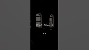 قُل لَّن يُصِيبَنَا إِلَّا مَا كَتَبَ اللَّهُ لَنَا .. #سورة_التوبة#ماهر_المعيقلي 🩶
