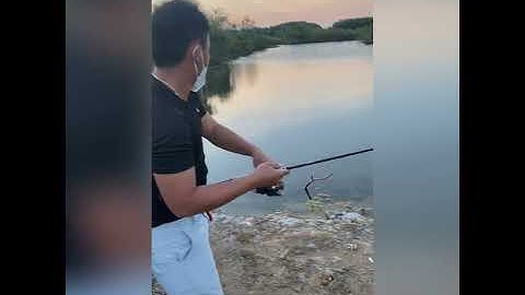 Lure chẽm Cần Giờ mùa Covid nha qúy zị 😂