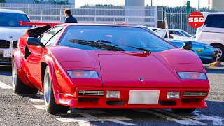 [Cars of the World] What kind of cars came this time? [English subtitles] Daikoku PA