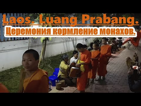 Video: Tanker Om At Komme Hjem Til Luang Prabang - Matador Network