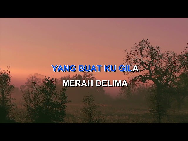 MERAH DELIMA ASLI GROUP Indonesian Malay Karaoke class=