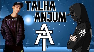Best of Talha Anjum || Talha Anjum Urdu Rap Songs