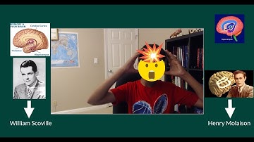 Neuroscience For Kids | The Hippocampus