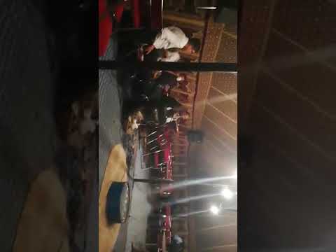 عرس ولاد شبانة مع إخوان بصير