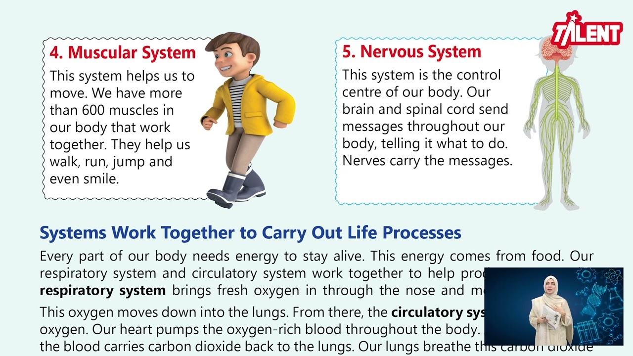 Talent Science 5|Unit 1|Hu,an Body Systems