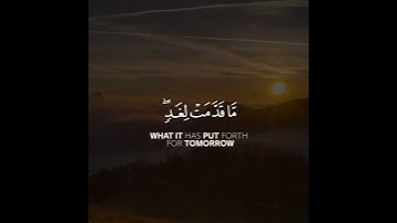 أرح سمعك 🥀القارئ: عمر الدريويز 🍃 حالات واتس آب