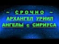 ✔ *АрхиСРОЧНО* « Архангел Уриил и Ангелы с Сириуса ! »