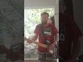 Primeiros Erros