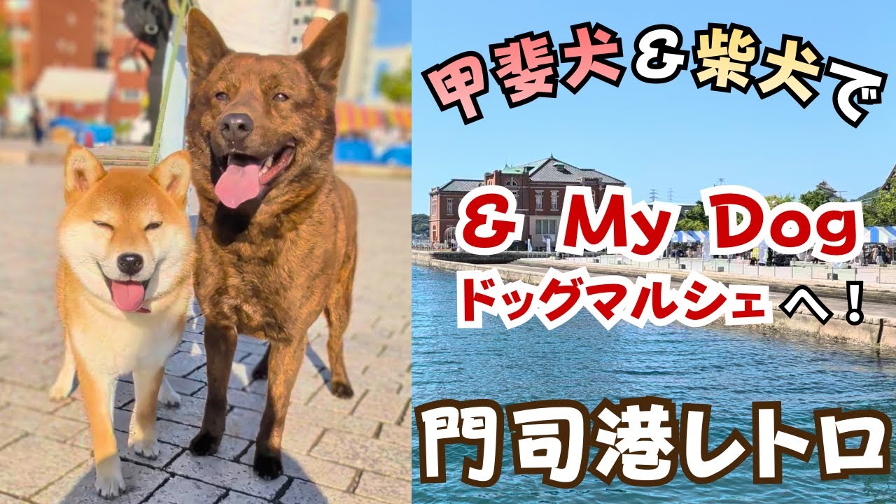Kai Ken & Shiba Inu] First time at the beach! We went to the dog