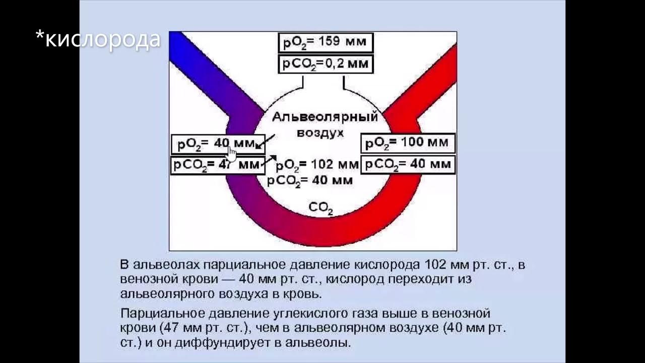 парциальное давление углекислого газа в выдыхаемом воздухе. парциальное давление кислорода в венозной крови норма. парциальное напряжение со2 в артериальной крови. парциальное давление в альвеолярном воздухе. расчет парциального давления.