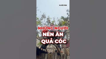 Những Người Này Nên Ăn Quả Cóc Rất Có Lợi Cho Sức Khoẻ! |DrDiệpDung #quảcóc #shorts