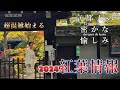 最新情報「京都の紅葉：見頃予想と12月冷え込み対策」2024年秋の紅葉ガイド｜一足早く天授庵（南禅寺塔頭）綺麗に紅葉染まる｜蹴上から南禅寺｜交通機関混雑｜　＃kyoto＃京都観光＃京都