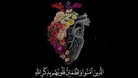 أَلَا بِذِكْرِ اللَّهِ تَطْمَئِنُّ الْقُلُوبُ | سورة الرعد