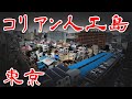 【東京 人工島 コリアン集住地 】 朝鮮人 バラック不法占拠地からの移転 枝川1丁目の 旧枝川町簡易住宅を歩いてみた 歩行型ドローン Japan's Untouchables #スワロウテイル