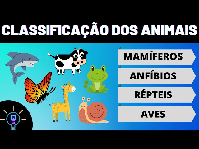 Jogo, Quiz dos Animais