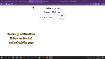 Desktop - How to Activate Auto Blocked Notifications on Chrome