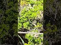 オックーTV ボツ動画その②