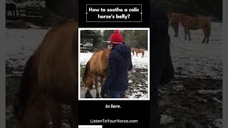 How to soothe a colic horse&#39;s belly?