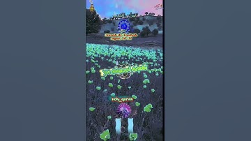سورة التوبة: الآيات 30-31 Surah At-Taubah