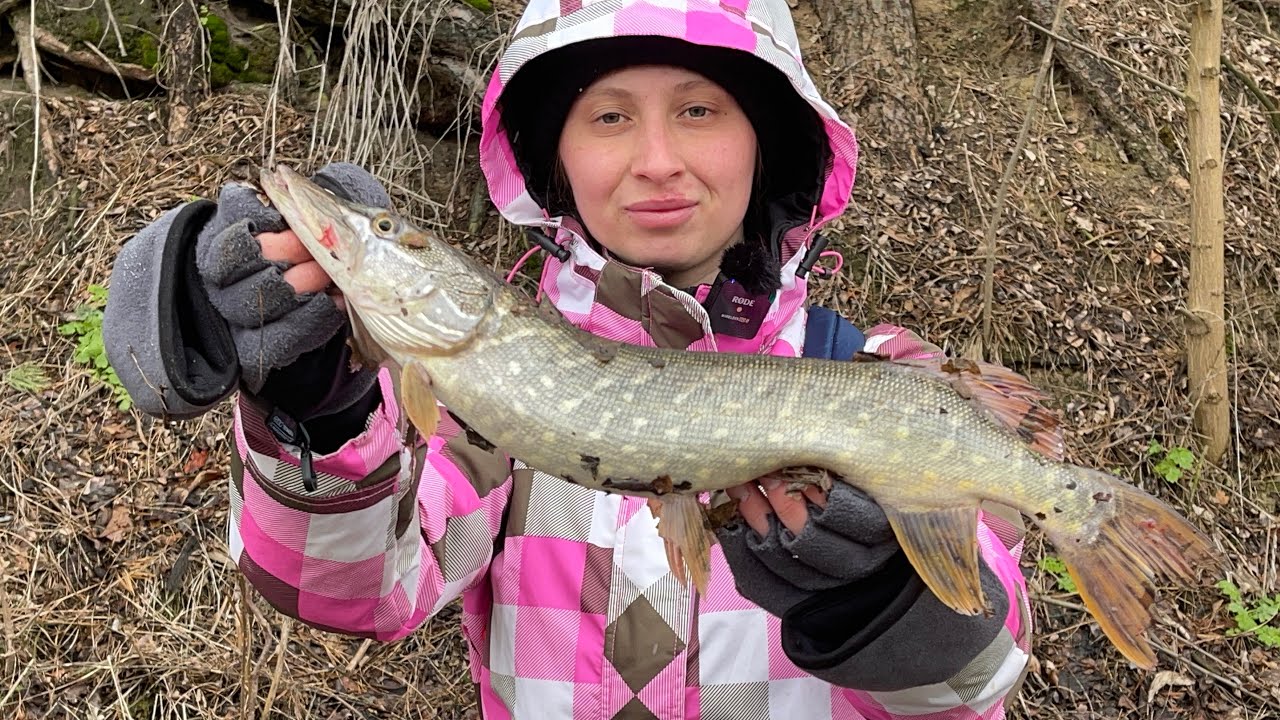 Ловля пасивної щуки після нересту.