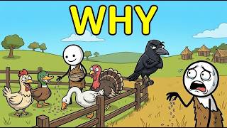 Why Did Humans Domesticate Almost Every Bird Except Crows