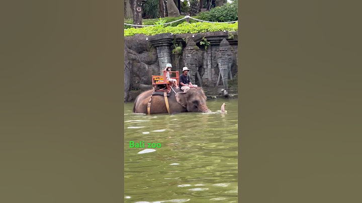 Qisya riding the elephant  #zoo #balizoo #elephant #holliday #girls