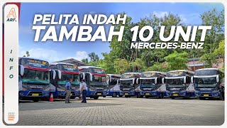 PELITA INDAH Tambah 10 UNIT Lagi !! Siap Ramaikan Jalur Trenggalek - Tulungagung - Surabaya PP