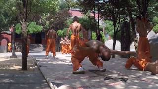 A Shaolin Quan Journey Part 2