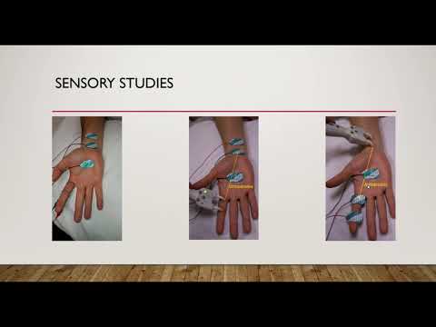 A Basic Intro To NCS/EMG For Neurologists