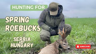 Hunting for Spring Roebucks in Serbia and Hungary