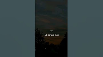 تلاوة خاشعة جميلة بصوت ماهر المعيقلي ارح سمعك ♡ #ماهر_المعيقلي