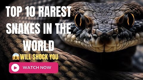 Top 10 Rarest Snakes in The World 🌎 | Endangered Species