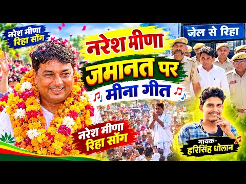 नरेश मीणा जमानत मिलने पर मीना गीत // Naresh Meena jamanat song ।। Naresh Meena Geet नरेश मीणा रिहा