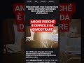 guidare contro sole non è un attenuante #perte