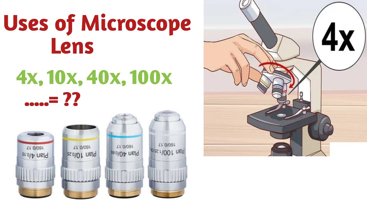 An Instrument Used For Looking At The Lens Is A Microscope lens uses | Uses of microscope lens - YouTube