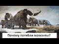 Почему погибли мамонты? Кто виноват? Люди, климат или остеопороз?