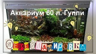 Аквариум 60 литров с ГУППИ. Пересадка растений. Освещение LED лампы. Аквариум 60 литров с ГУППИ. Пересадка растений. Освещение LED лампы.