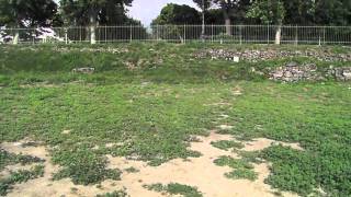 Paestum Ruins
