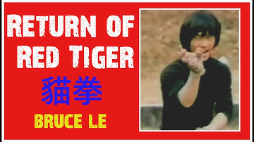 BRUCE LE - RETURN OF THE RED TIGER 貓拳
