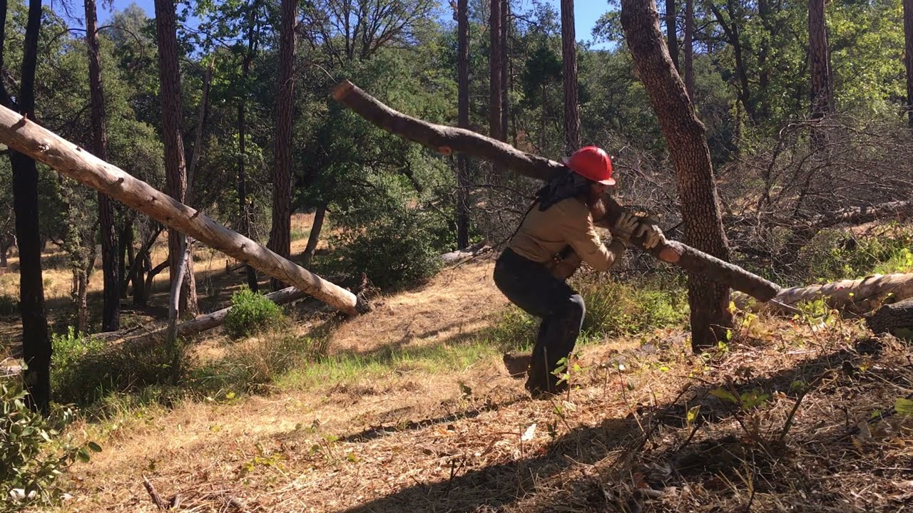 How to Lift and Carry Logs off the Ground like a Lumberjack YouTube