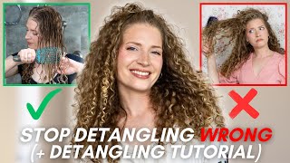 Why Detangling Is the Most Important Step in a Curl Routine + Detangling Tutorial ✨