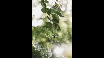﴿يوم تبيض وجوه وتسود وجوه...﴾ [آل عمران: ١٠٦-١٠٧] || القارئ ناصر القطامي