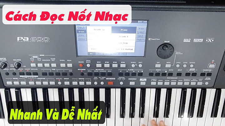 Hướng dẫn cách gõ nhịp 2 4