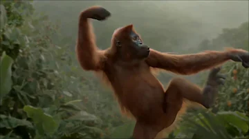 New BUDOT dance 2021 [Monkey]