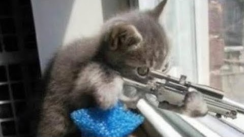 PUT A SNIPER in MY HANDS & FIND OUT!!! #ApexLegends #Ranked #ALGS #Apex #Gaming #VideoGames #ESports